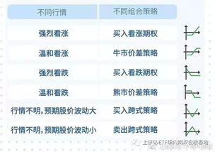 投资沪深300一万元 净值是0.9491 请问怎么算出收益多少