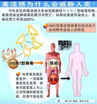 我国对禽流感采取的措施有哪些