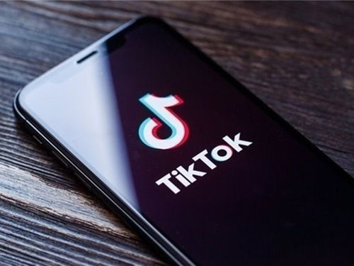 小众化产品如何进行TikTok运营_tiktok怎么开通专业账户