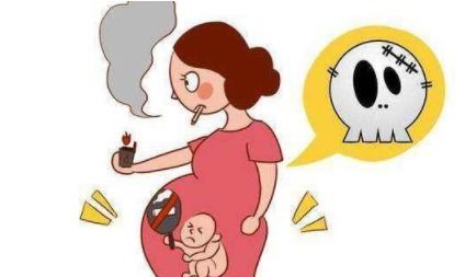怀孕前应注意什么，女人怀孕前应注意什么