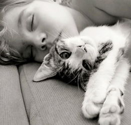 当你睡熟时,为什么猫咪总会跑来闻你 专家的解释让人不敢养猫了