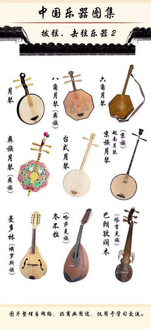 中国的民族乐器,除了古筝琵琶你还认识哪些呢