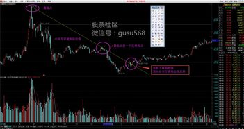 怎样学炒股从0开始