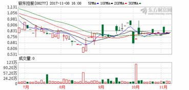 骏高控股中期业绩公布：股东持有亏损911.5万港元