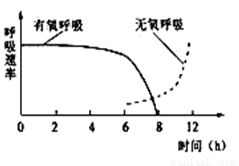 高二生物 从图中为什么不可以看出Ⅲ是衰退型？ 那Ⅰ是增长型吗？ 在图的纵坐标左边存活个体数目相对量