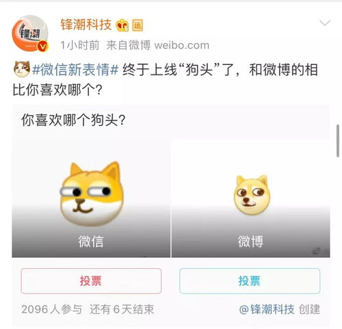 陌陌表情上，冷表情代表什么意思(陌陌表情上,冷表情代表什么意思呀)