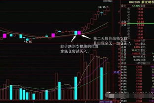 股票保有少量底仓是什么意思