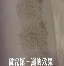 水泥地和地板上刷漆,比瓷砖还好看 防潮防滑有个性,满意 