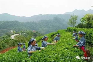 大埔十大A级景区你都去过了吗 