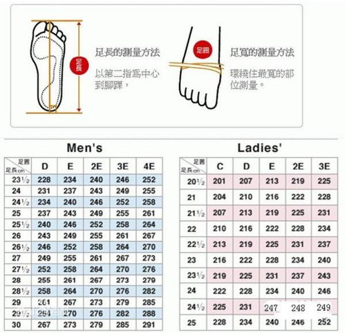 国外的鞋码前加了ee是什么意思 