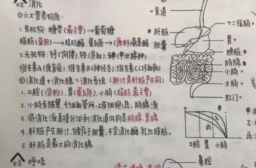 欧阳娜娜字体 火了,单字没眼看,可组合在一起却很漂亮