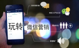 厦门免费微信营销培训 报名享政府补贴