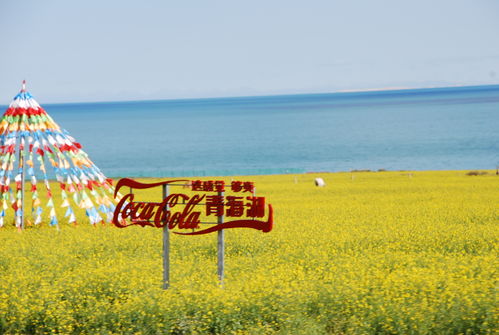 九月青海旅遊攻略圖片高清版！風景如畫，讓你流連忘返！