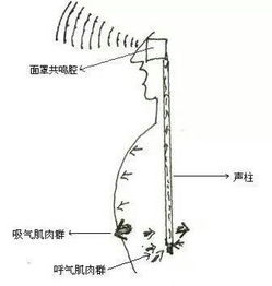 关于面罩共鸣的探析