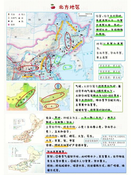 地理中考冲刺 中国四大地理区域 