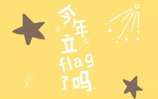 flag是什么意思中文(flag的中文是啥意思)