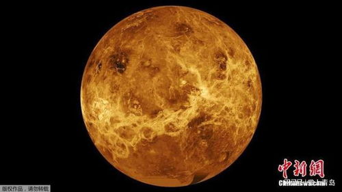 月掩金星 24日上演,如何观测
