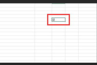EXCEL表中如何在小方格内打勾 
