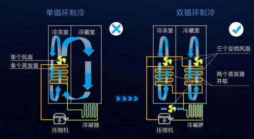 冰箱怎么选 买冰箱需要关注哪些参数 冰箱选购指南