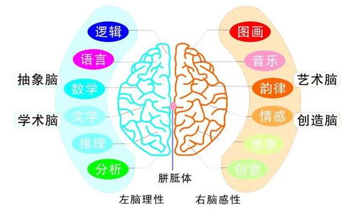 为什么有些孩子头上有 2个旋 代表什么意思,父母要早知道