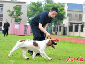 武汉市公安局警犬基地训导员,23年打造警界一流 尖兵 