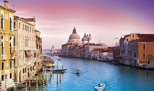 意大利大学介绍 1 水城威尼斯中的著名大学 