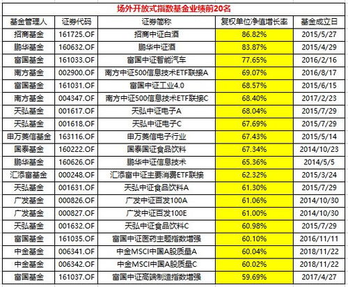 怎么看分级指数基金B的净值