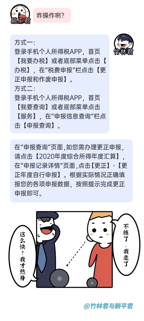 真心服务 非常满意 竹林君与躺平君 个税汇算清缴申报错了咋办