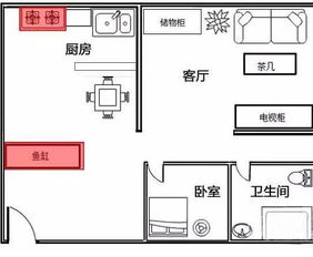 鱼缸别乱摆,4大禁忌 信则有,不信则无