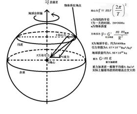 地球上什么地方重力加速度最大，数值是多少？