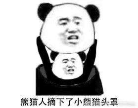 小熊猫摘下了小熊猫头罩QQ表情包 小熊猫摘下了小熊猫头罩表情包 