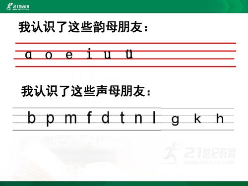 汉语拼音 6 j q x 