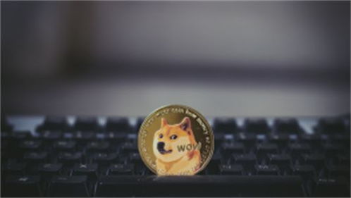 dogegiving币是什么币?dogegiving币值得投资吗