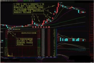 Terawulf盘前涨幅近5%，B.