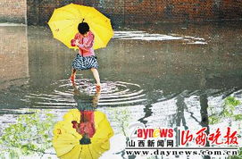 雨中 