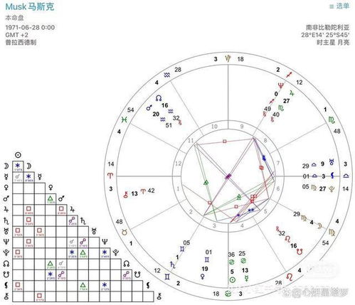 马斯克星盘 风象时代的天选之子