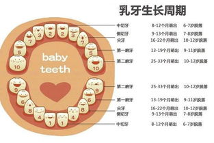 儿牙专栏 0 18岁分阶段护牙方法 儿童牙病 日常护理 预防 疾病介绍 