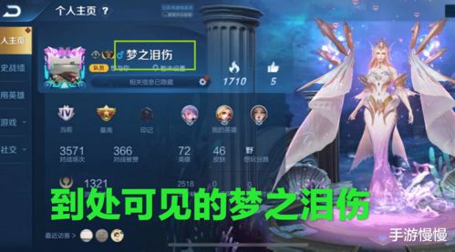 王者最火名称,网店中 梦之泪伤 ID无限秒改,还不要改名卡