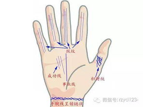 手相看你为什么贫穷