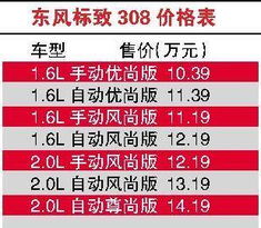 308上市307降价 三只 狮子 竞逐A级车市 