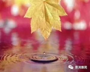 一帘秋思 静好无声 