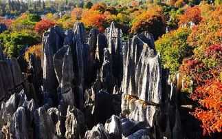 昆明郊区这些地方,藏着昆明最美的风景