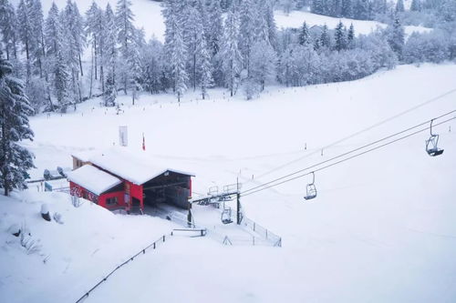 冬天,阳光和滑雪最配啦 意大利滑雪之地大搜罗,打卡好去处