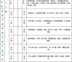 紫微斗数精成 附录一 斗数星情基本要义表