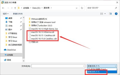 win10虚拟机安装黑苹果系统