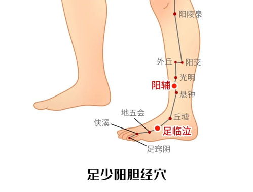 脚的部位名称图和图片 搜狗图片搜索