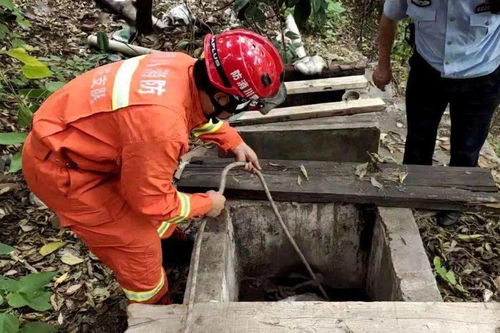 今日新闻 小孩掉进化粪池外公跳入施救,2人均不幸遇难