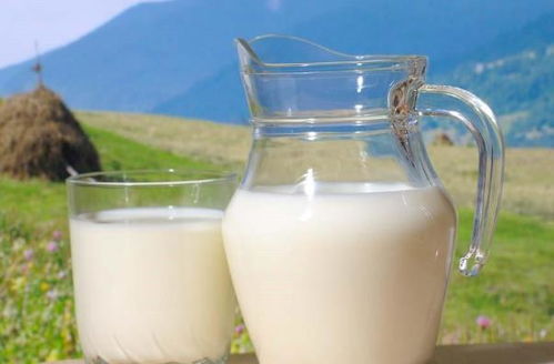 牛奶营养价值高,每个人都能喝吗 早上可以空腹喝牛奶吗 了解下