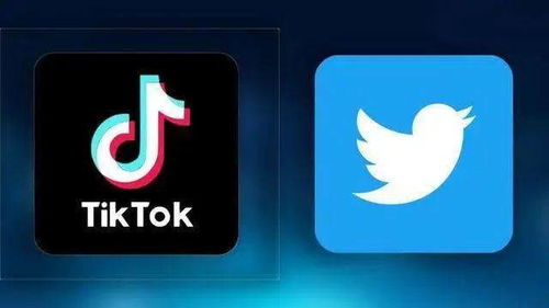 tiktok 国际版下载_tiktok是谁代理的