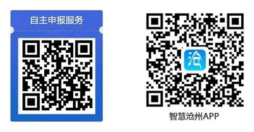 沧州启用个人 电子通行证 可扫码自助办理 